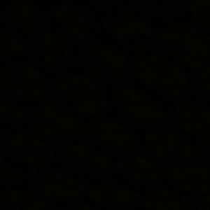 Meet your Posher, Lillian